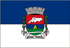 Bandeira de Miguel Pereira