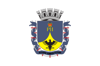 Bandeira de Petrópolis